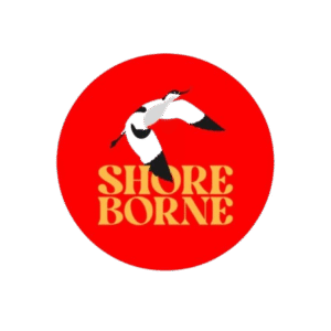 5_1_-removebg-preview